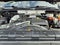 2020 Chevrolet Silverado 2500 HD Work Truck