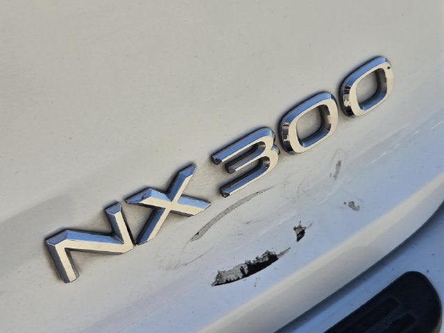 2020 Lexus NX 300 NX 300
