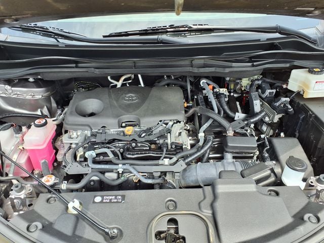 2021 Toyota Sienna Platinum 7 Passenger