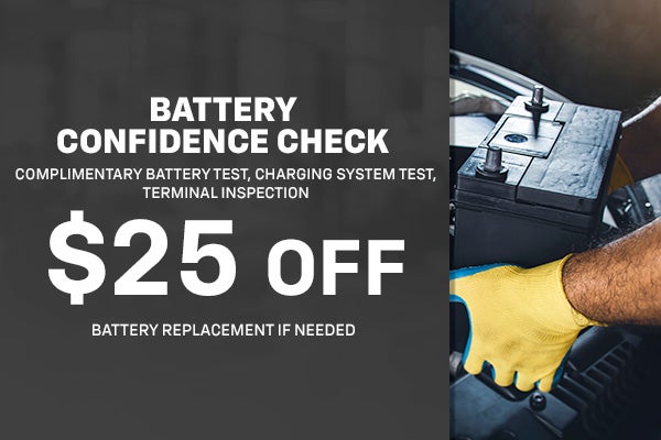 Battery Confidence Check