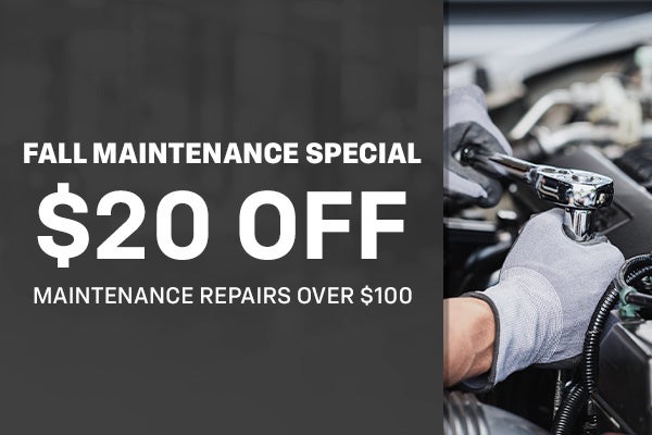 Fall Maintenance Special